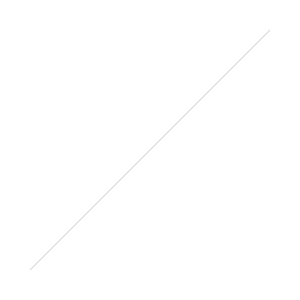 The Interest in Shapes;
